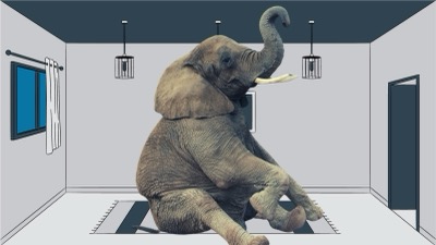 Olifant in de kamer